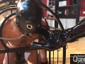 Queen Dominatrix Frida (Slave in a Cage)