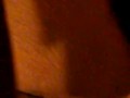 Sexxyy9's Wet Pussy