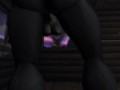 Christmas Night - The Northern Lights ( Furry / Yiff )