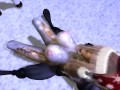 Christmas Night - The Northern Lights ( Furry / Yiff )