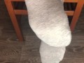 STUDENT GIRL SHOW FOOT IN GRAY SOCKS SMELL SOCKS AND WORSHIP FETISH