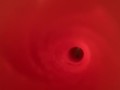 Internal view of Fleshlight Vortex 