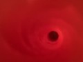 Internal view of Fleshlight Vortex 