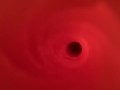 Internal view of Fleshlight Vortex 