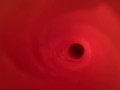 Internal view of Fleshlight Vortex 