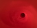 Internal view of Fleshlight Vortex 