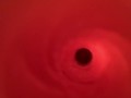 Internal view of Fleshlight Vortex 