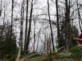 Forest Piss Caught On Camera