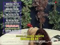 Diretta TV 899