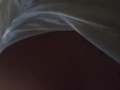 Step-sister morning horny under sheets fucking stepbrother