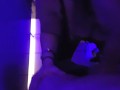 Girl Blowjob in Nightclub Toilet - Pick Up