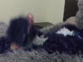 Insano Pawing