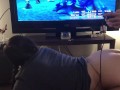 Cute Girl Gets Fucked While Her Boyfriend Plays Games