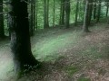 Cum Collecting Fairy (teaser, fantasy, outdoor) by Amedee Vause