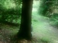 Cum Collecting Fairy (teaser, fantasy, outdoor) by Amedee Vause