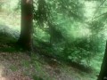 Cum Collecting Fairy (teaser, fantasy, outdoor) by Amedee Vause