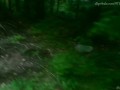 Cum Collecting Fairy (teaser, fantasy, outdoor) by Amedee Vause