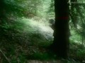 Cum Collecting Fairy (teaser, fantasy, outdoor) by Amedee Vause