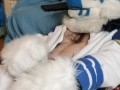 Kobaruto, Sergal horny and paws off