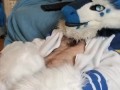 Kobaruto, Sergal horny and paws off
