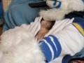 Kobaruto, Sergal horny and paws off