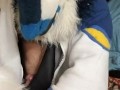 Kobaruto, Sergal horny and paws off