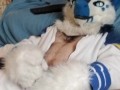 Kobaruto, Sergal horny and paws off