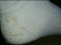 Weiße Tennissocken sind Kult