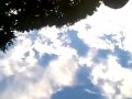 Strolling in the Park