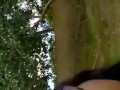 Strolling in the Park