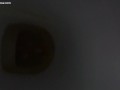 pee on the toilet