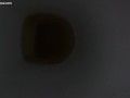pee on the toilet