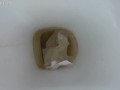 pee on the toilet