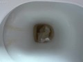 pee on the toilet