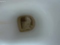 pee on the toilet