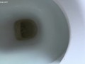 pee on the toilet