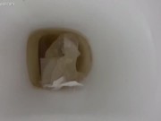 pee on the toilet