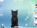 CREATE A SIMS | 5 CATS + Ferdinando Consierge | The Sims 4