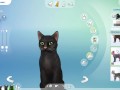 CREATE A SIMS | 5 CATS + Ferdinando Consierge | The Sims 4