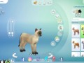 CREATE A SIMS | 5 CATS + Ferdinando Consierge | The Sims 4