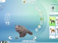 CREATE A SIMS | 5 CATS + Ferdinando Consierge | The Sims 4