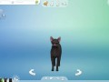 CREATE A SIMS | 5 CATS + Ferdinando Consierge | The Sims 4