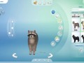 CREATE A SIMS | 5 CATS + Ferdinando Consierge | The Sims 4