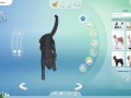 CREATE A SIMS | 5 CATS + Ferdinando Consierge | The Sims 4