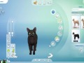 CREATE A SIMS | 5 CATS + Ferdinando Consierge | The Sims 4