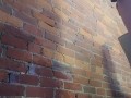 Piss on wall desperate 