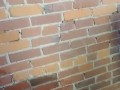 Piss on wall desperate 