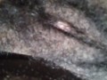 Showcasing my hairy wet pussy with a swollen clit