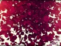Having an Orgasm in Dressing Room PUBLIC