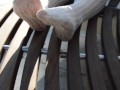 Mistress legs in white tights outdoor